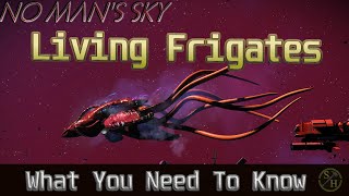 No Mans Sky Living Frigates And What You Need To Know [upl. by Barcot]