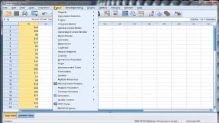 Onesample ttest  SPSS Part1 [upl. by Gabby]