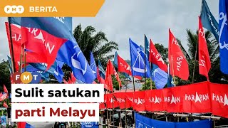 Politik tenang sukar cari ketua sulitkan penyatuan parti Melayu [upl. by Neeli]