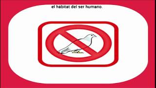 sonido 🚫🕊️ AHUYENTA PALOMAS 🚫🕊️ Funciona 🆗 9hs [upl. by Bruno]