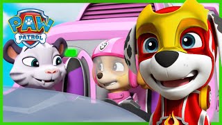 Pups rescue Tracker and the Monkeys in the Jungle  PAW Patrol  Cartoons for Kids Compilation [upl. by Modla]