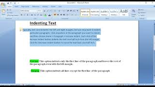 Indenting Text l MS WORD l 2024 [upl. by Cirted]