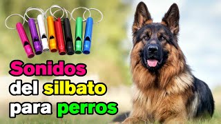 Sonidos de Silbido para Perros [upl. by Naquin]