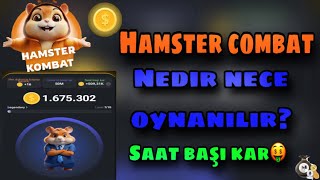 Hamster Kombat Nedir 🤑Necə Oynamaliyiq Və Necə Qazanılıb Satılacaq Ətraflı Video Link Açıqlamadadır [upl. by Ahseid]