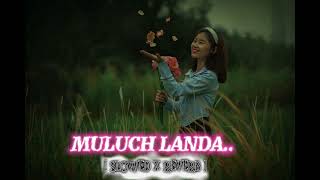 MULUCH LANDA   SLOWED x REVERB   SANTHALI SONG LOFILOVER015 [upl. by Golda412]