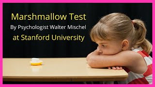 Marshmallow Test  Walter Mischel  Stanford University  Instant Gratification [upl. by Yecnay]