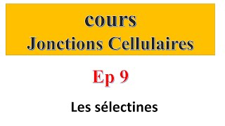 cours jonctions cellulaires Ep9 Les sélectines [upl. by Bobbe]