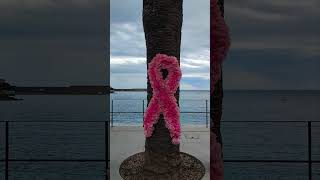 Collioure Octobre rose [upl. by Pearlman]