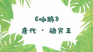 Learn Mandarin《咏鹅》唐代 • 骆宾王  Yong E poem by Luo Binwang [upl. by Zoilla]