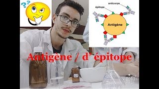 antigène épitope cour dimmunologie 5 [upl. by Ailehc]