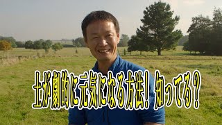 【自然栽培73】野菜収穫量アップの秘訣！土本来の力を取り戻す！元気がない土層を、元気にするよ！ [upl. by Ekoorb]