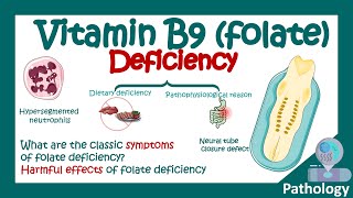 Folate deficiency  What are the symptoms of low folic acid  Harmful effects of Folate deficiency [upl. by Daeriam]