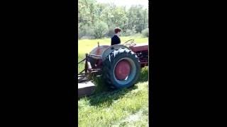 Ford 601 641 Workmaster Brush Mowing [upl. by Correy]