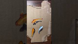 Cardboard drawing😲youtube art realastic drawing shortvideo cardboard fish [upl. by Foskett]