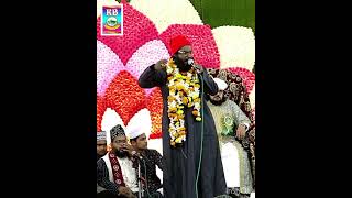 Hum Ali Ke Jansar HaiKhwajaGulamSarwaryoutubeshorts vairalvideo trending islamicstatus [upl. by Jessabell]