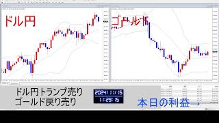 毎日FX24時間「生LIVE」配信中2024年11月13日水1330時点＋1億2933万円 トランプトレード [upl. by Ahseim]