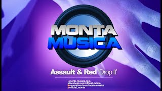 Assault amp Red  Drop It 2022 Monta Musica  Makina Rave Anthems [upl. by Adnoma299]