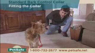 PetSafe Standard Bark Control Collar Tips [upl. by Ailaht]