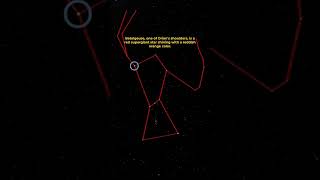 How To Spot The Constellation Orion The Hunter In The Winter Night Sky Shorts [upl. by Lemuelah]