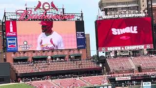 Tommy Pham base hit  St Louis Cardinals Baseball [upl. by Sayce]