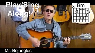 Mr Bojangles with Lyrics amp Chords Acoustic Cover  C29 [upl. by Eniamahs]