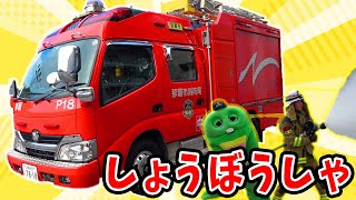 火事を消せポンプ車が火災現場でだいかつやく【はたらくくるま働く車】【しょうぼうしゃ消防車】【那覇市消防局】 [upl. by Ttimme]