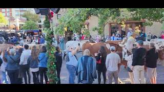 STOCKYARDS FORTWORTH [upl. by Naman95]