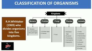 Unit  1  CLASSIFICATION OF LIVING ORGANISMS  Part 2  Tnpsc [upl. by Afinom223]