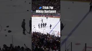 Rantanen Scores 🧢 Trick  🍎 MikkoRantanen ColoradoAvalanche NHLHighlights [upl. by Nohsar]