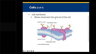 FTT AEMT Chapter 7 Lecture [upl. by Ilysa]