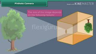 How does pinhole camera work [upl. by Sleinad]