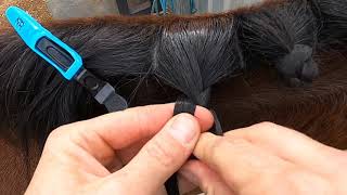 Differences in Plaiting Techniques amp How That Impacts Your Rosettes [upl. by Griff]