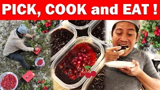 PICK COOK and EAT LINGONBERRY JAM RECIPE FORAGING [upl. by Iclehc913]