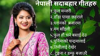 Nepali Evergreen songs collection 2080 [upl. by Anauqed939]