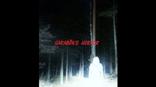 Saraböke Horror kompletter Film ca43 min [upl. by Oninotna385]