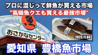 【豊橋魚市場 プロに混じって鮮魚が買える市場 高級魚クエも買える最強市場】あばお 海鮮ちゃんねる 131 20131103 [upl. by Ahsetel924]