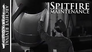 Daily Inspection of a Spitfire  1940 Instructional film [upl. by Theodosia]