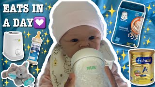 What My ✨Silicone baby✨ Eats In A Day Reborn’s World [upl. by Lussi]