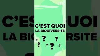 19 La biodiversité  on reprend la base 🪰 [upl. by Cirri]