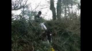 Killinick Harriers Hunt Murrintown [upl. by Farah671]