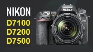 Nikon D7100 vs Nikon D7200 vs Nikon D7500 [upl. by Anahir]