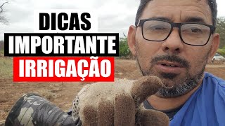 Irrigação Simples e Eficaz no Sertão Escolha e Instalação de Fita de Gotejo [upl. by Elyagiba]