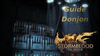 FFXIV Stormblood  Guide Donjon  Castrum Abania [upl. by Girard]