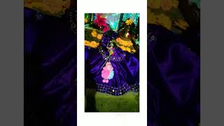 Laddu Gopal ka diwali look ❤️❤️laddugopal shortvideos laddugopalstatus laddu krishnastatus [upl. by Pascale794]