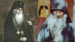 Is there a faithful remnant within the Local Orthodox Churches [upl. by Mersey395]