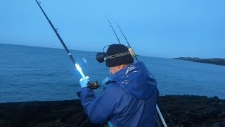 Fish a CAST  What a difference darkness brings  Anglesey rock fishing [upl. by Kirsch]