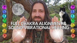 4K REIKI  Full chakra alignment energy healing amp sound vibrational healing  Deep energy cleansing [upl. by Akoek977]