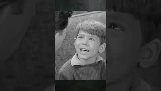 Andy Explains Innocent Horse Trading theandygriffithshow mayberry classictv shorts [upl. by Beckerman225]