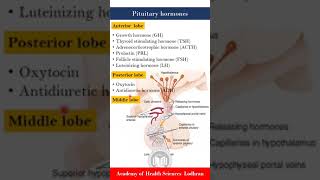 Understanding Pituitary Tumor Symptoms and Skin Effects [upl. by Greenwald]