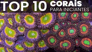 TOP 10 CORAIS para iniciar no aquarismos marinho [upl. by Chil]